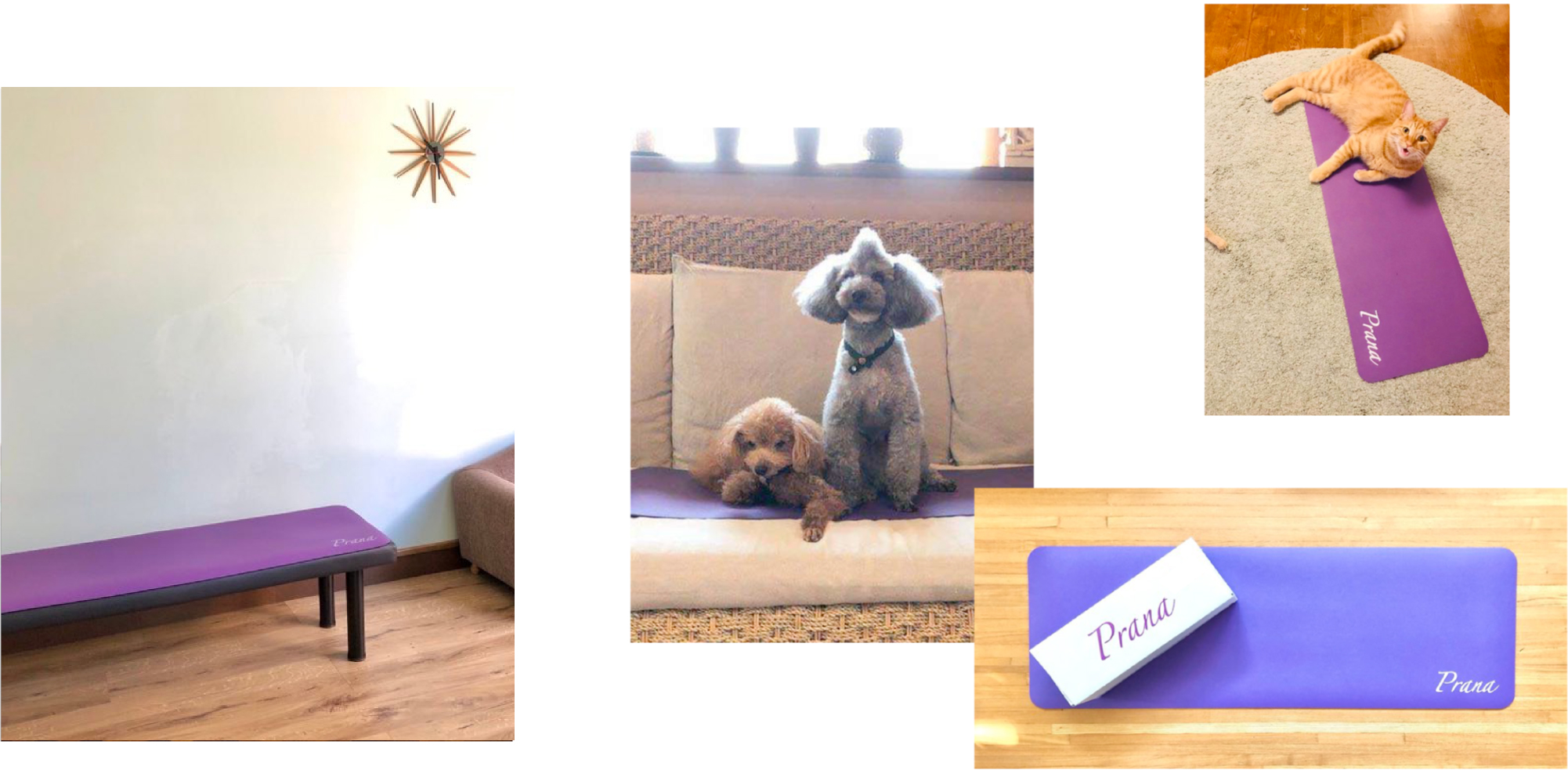 Prana® プラーナ