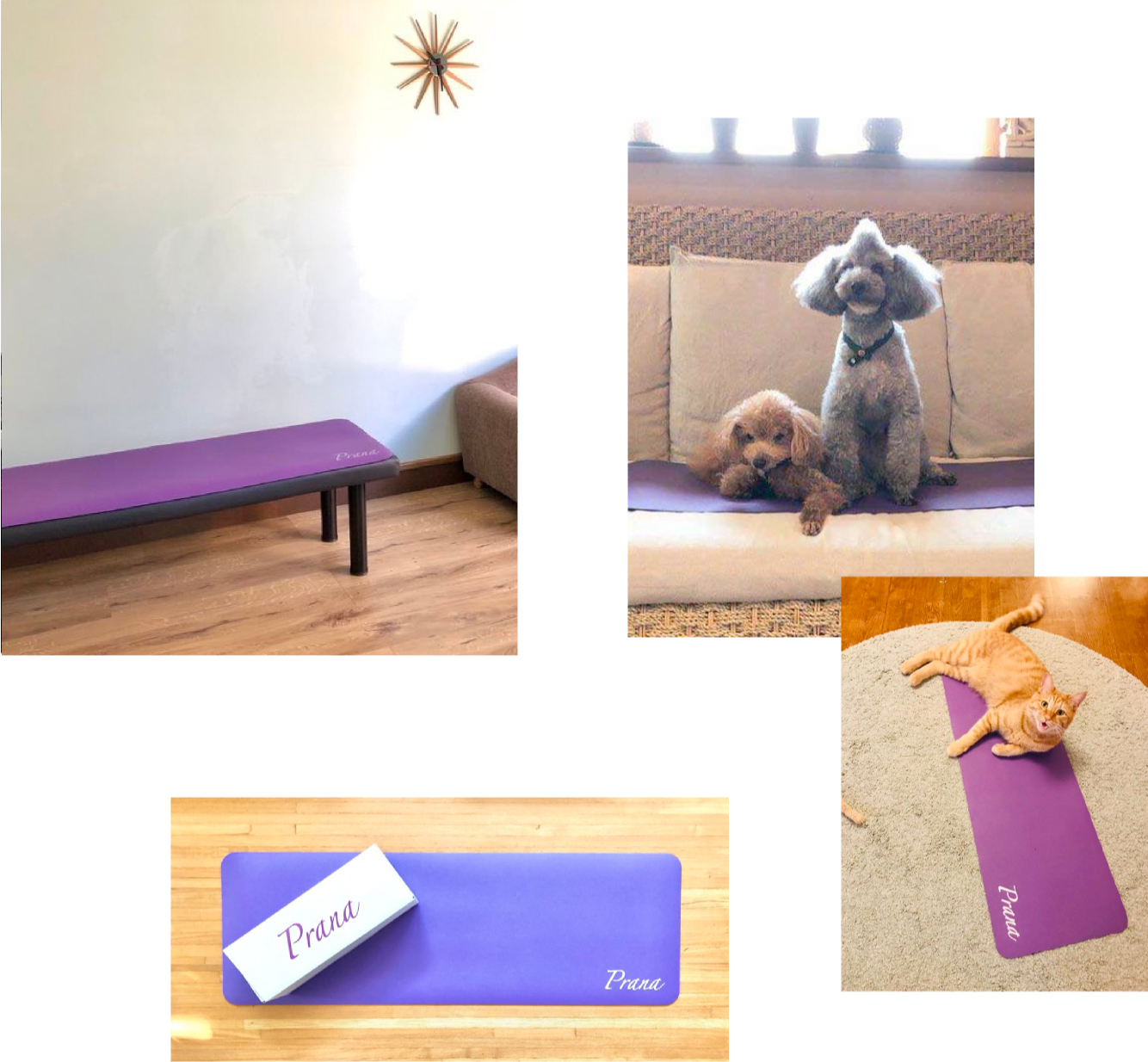 Prana® プラーナ